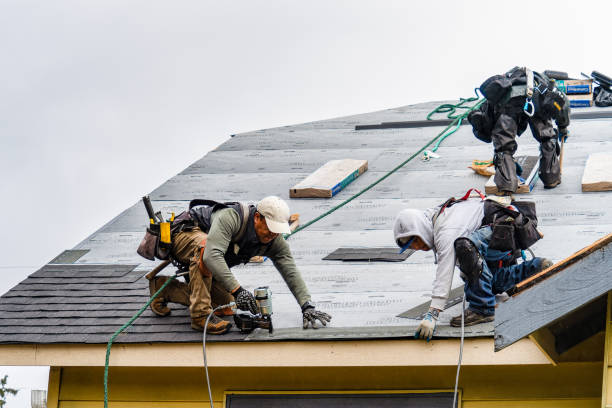 Professional Roof Replacement technician working in Potts Camp, MS