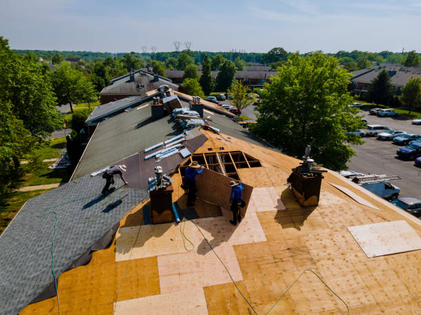 24/7 Emergency Roof Replacement experts in Potts Camp, MS